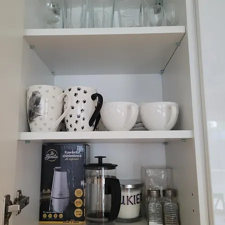 Apartament-sadowa Apartment Elbing